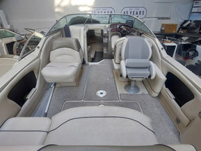 Sea Ray 250 Amberjack