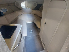 Sea Ray 250 Amberjack