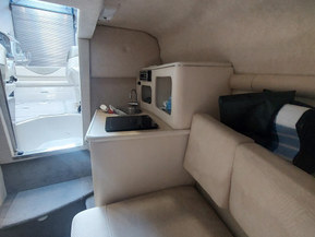 Sea Ray 250 Amberjack