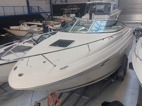 Sea Ray 250 Amberjack