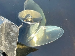 Sea Ray 215 Express Cruiser