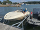 Quicksilver Other 520 sport