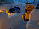 Monterey Other 245 CR