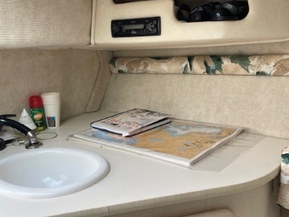 Sea Ray 215 Express Cruiser