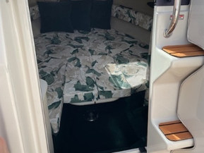 Sea Ray 215 Express Cruiser