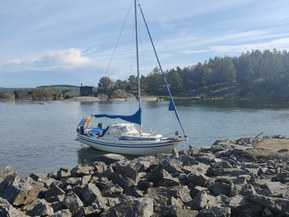 Muu merkki 