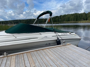 Sea Ray 215 Express Cruiser