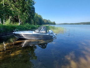 Silver Fox Avant 485