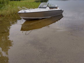 Silver Fox Avant 485