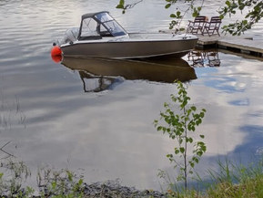 Silver Fox Avant 485