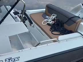 Silver Fox Avant 485