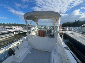 Chris-Craft Sea Hawk