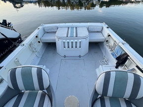 Chris-Craft Sea Hawk