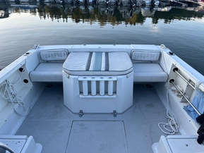 Chris-Craft Sea Hawk