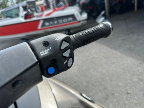 Yamaha FX Cruiser SVHO