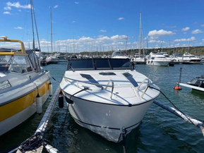 Askeladden C83 Cruiser