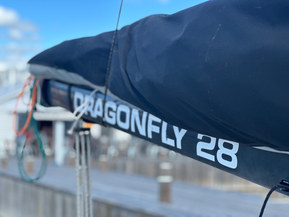 Dragonfly DF 28