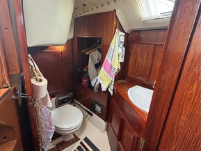 Comfort 32