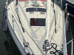 Comfort 32