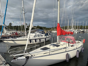 Comfort 32