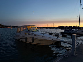 Sea Ray 250 Sundancer