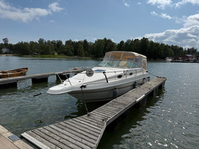 Sea Ray 250 Sundancer