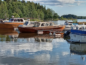 Omavalmiste Muu malli