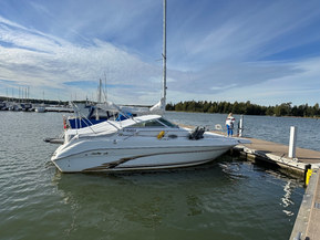 Sea Ray 250 Sundancer