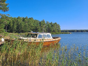 Omavalmiste Muu malli