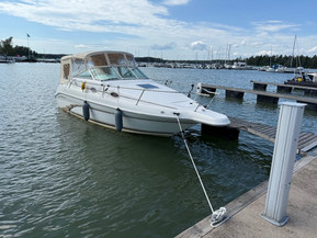 Sea Ray 250 Sundancer