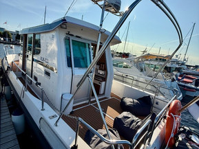 Nord Star 31 Patrol