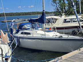 Finn 26