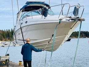 Sea Ray 315 Sundancer