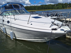 Sea Ray 315 Sundancer