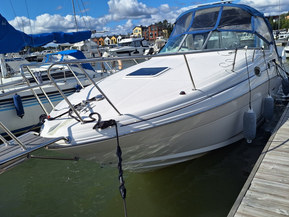 Sea Ray 315 Sundancer