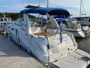 Sea Ray 315 Sundancer