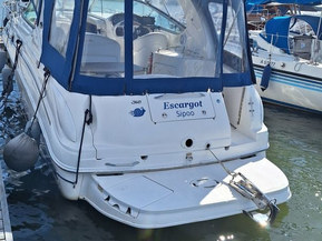 Sea Ray 315 Sundancer