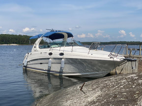 Sea Ray 315 Sundancer