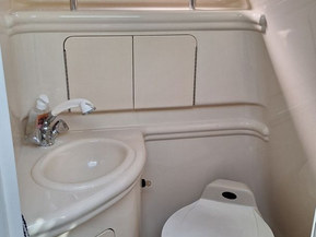 Sea Ray 315 Sundancer