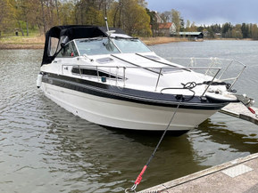 Sea Ray 268 Sundancer