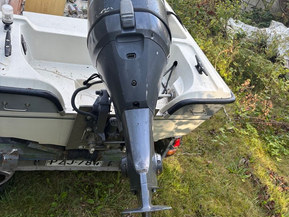 Yamaha F50 