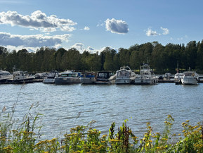 Sea Ray 268 Sundancer