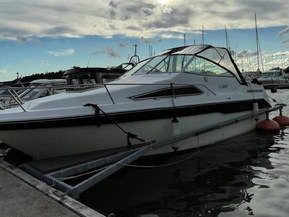 Sea Ray 220 DA