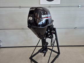 Mercury F30 ELPT EFI