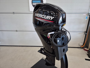Mercury F 40 ELPT EFI