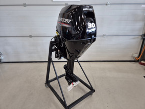 Mercury F30 ELPT EFI