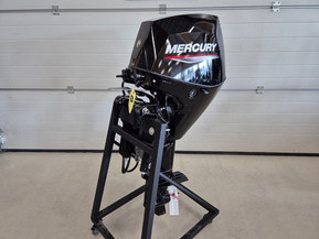 Mercury F30 ELPT EFI