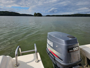 Flipper 515 HT