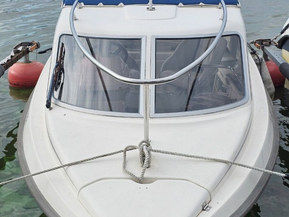 Flipper 515 HT