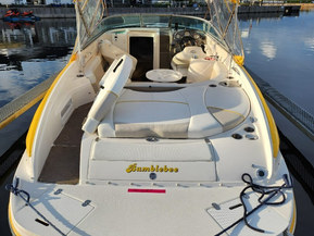 Rinker 246 CC